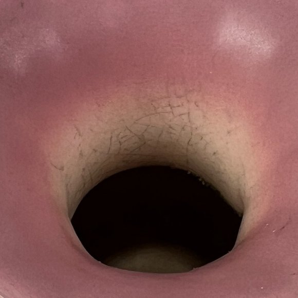 Vtg Hull Art Vase Double Handle Ceramic Wildflower Pastel Matte 40s - Picture 7 of 16